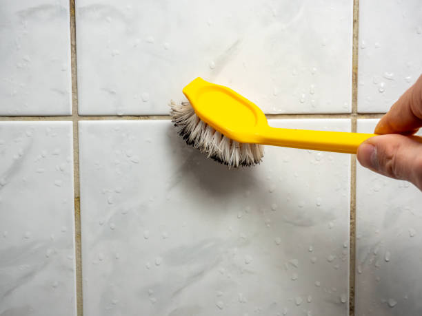 Best Mold Remediation  in La Crescenta Montrose, CA