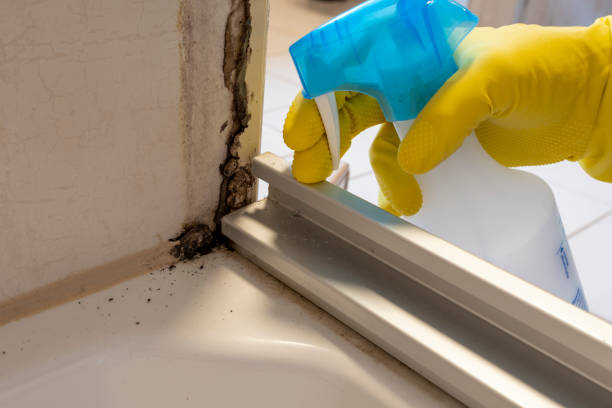 Crawl Space Mold Removal in La Crescenta Montrose, CA