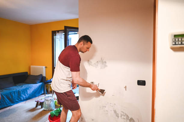 Best Crawl Space Mold Removal  in La Crescenta Montrose, CA